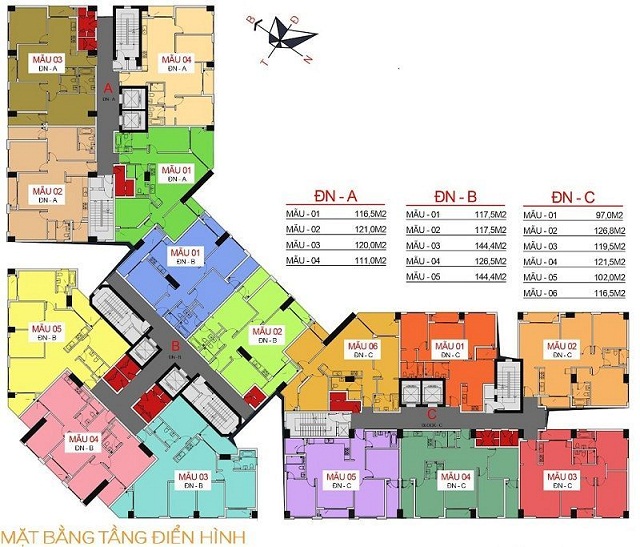 Tầng điển hình