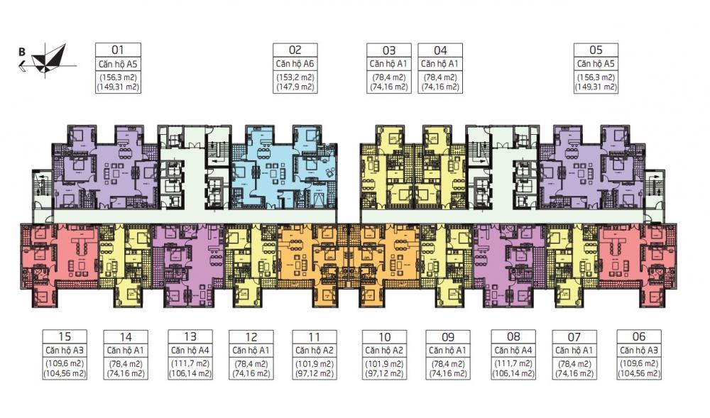 Tầng điển hình