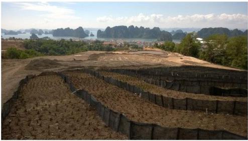 Dự án đang thi công tầng 1