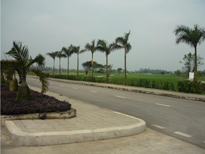 Hình ảnh thực tế dự án