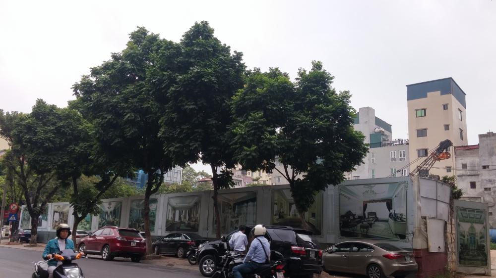 Dự án chưa triển khai