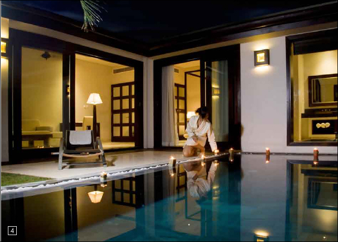 Tổng quan của Fusion Alya La Gi | ảnh 3