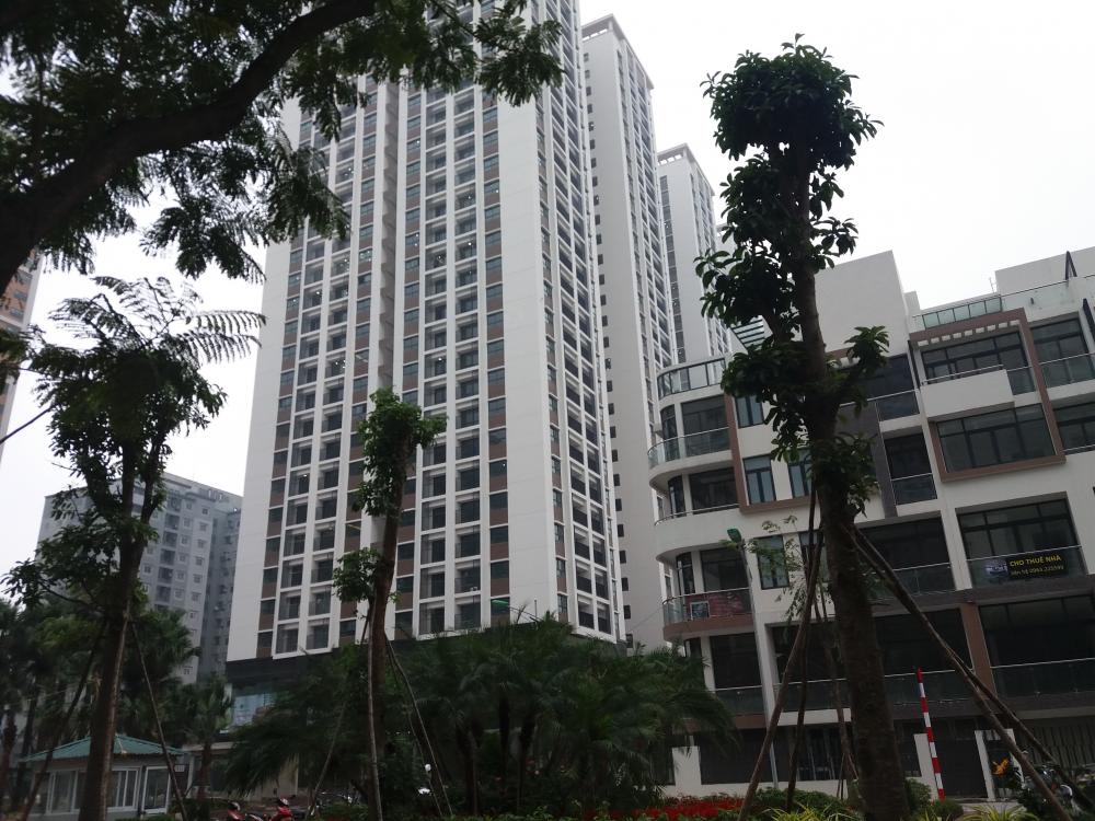 Dự án đã hoàn thiện