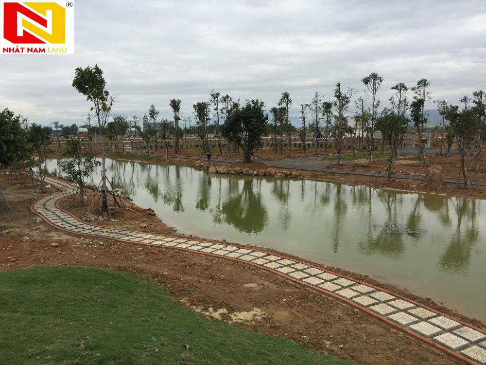 Hình ảnh thực tế dự án