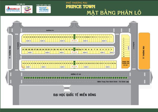 Tổng quan của Prince Town | ảnh 2
