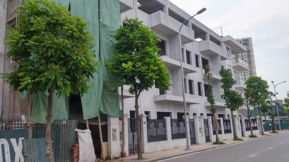 Dự án đang tiếp tục hoàn thiện