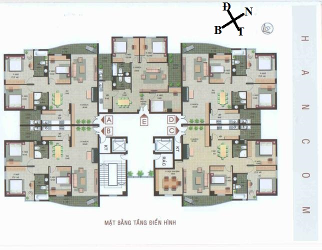 Tầng điển hình