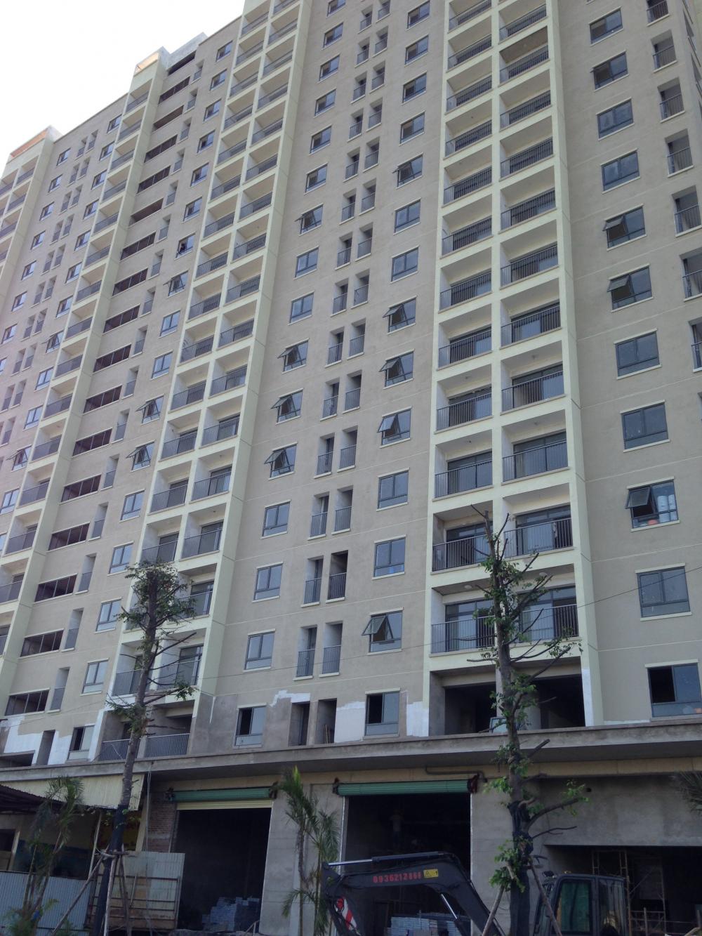 Một số tòa đang xây thô, một số tòa đang hoàn thiện