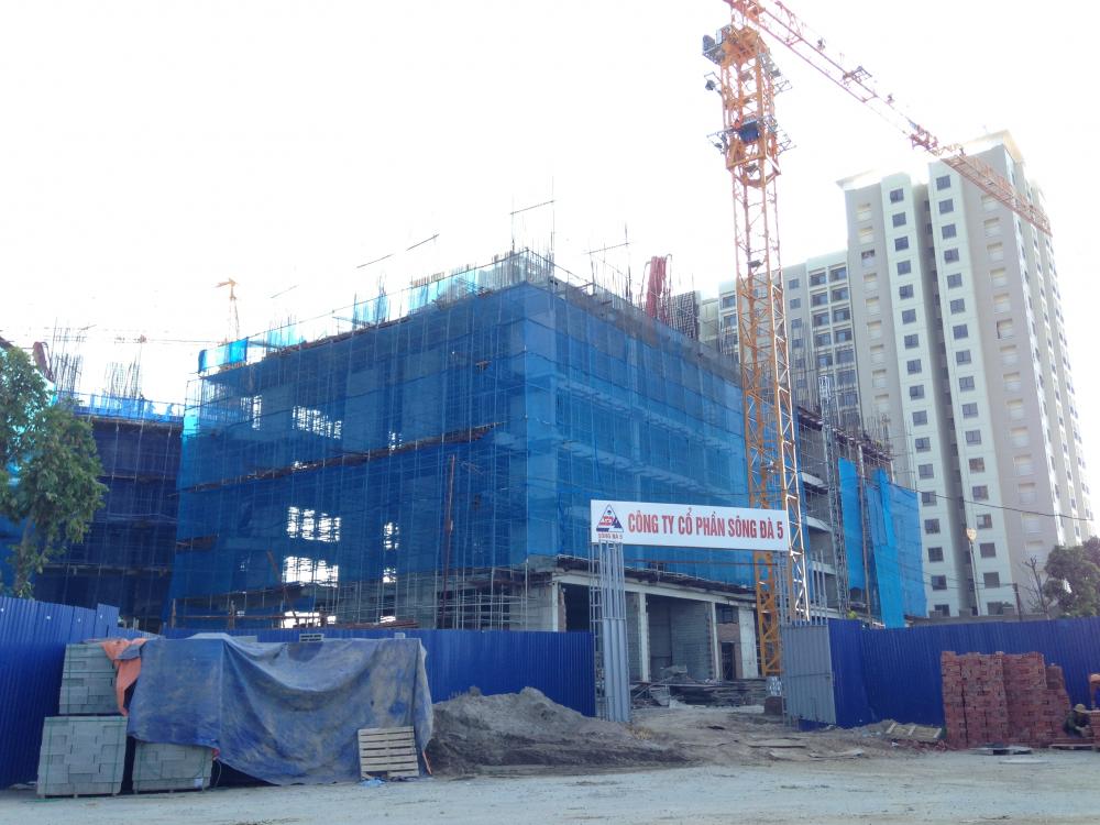 Một số tòa đang xây thô, một số tòa đang hoàn thiện