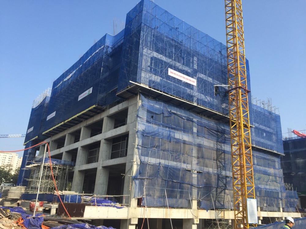 Tòa A và B đang hoàn thành xây dựng kết cấu dầm sàn tầng 6