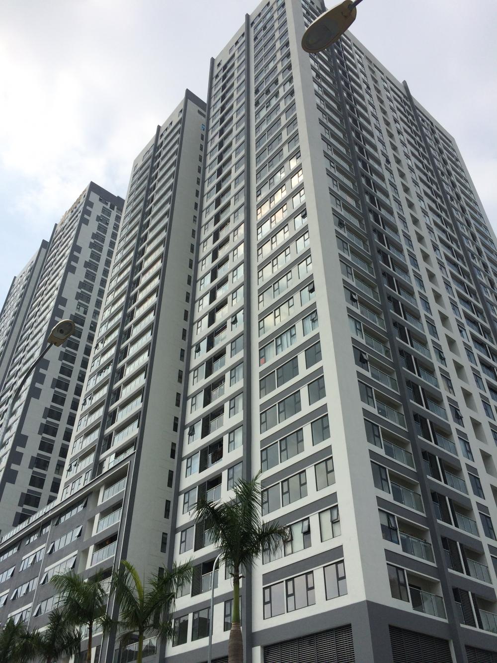 Dự án đã hoàn thiện