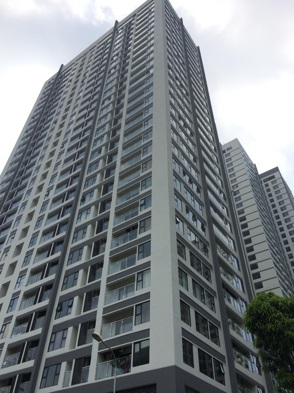 Dự án đã hoàn thiện