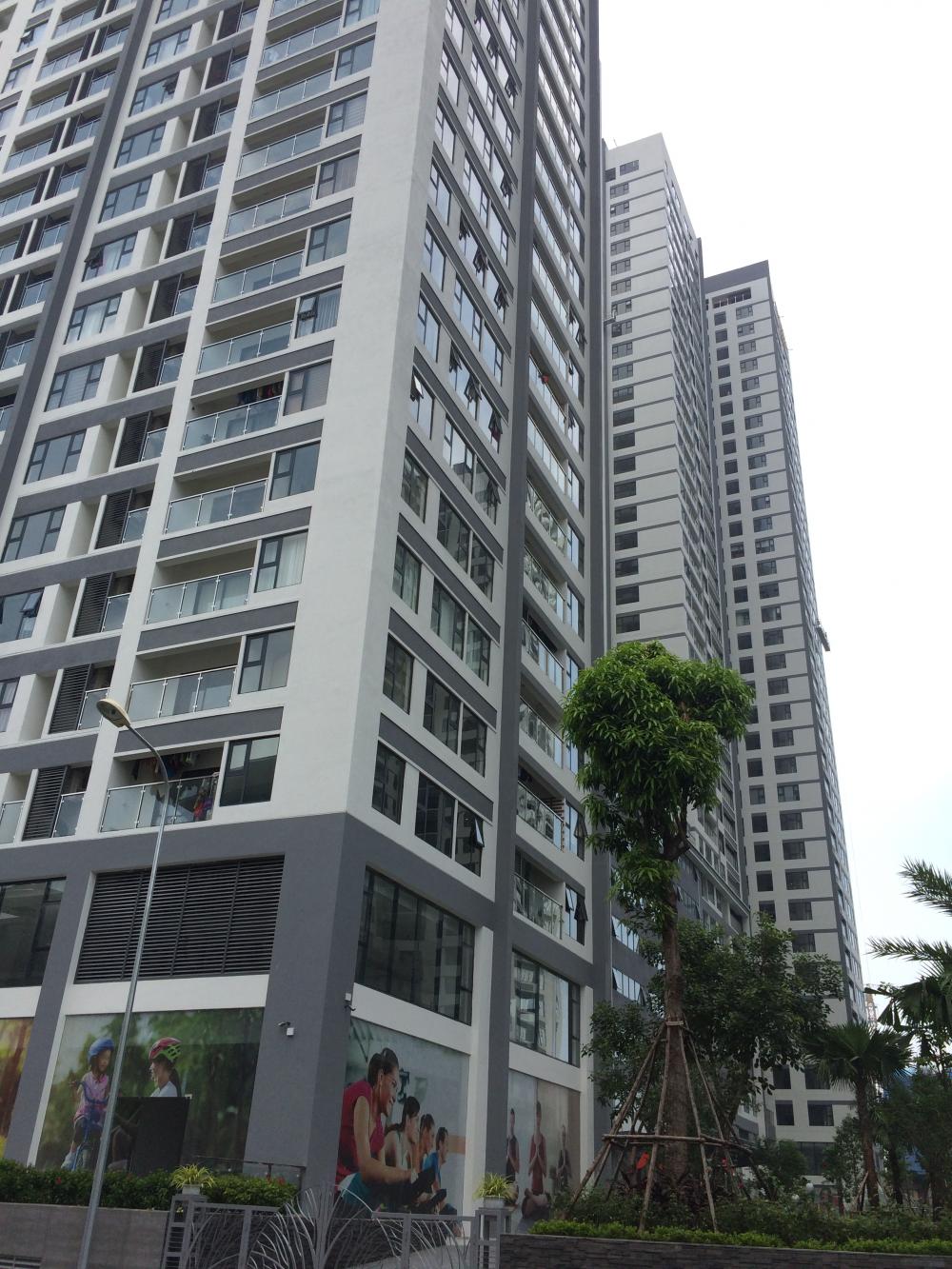 Dự án đã hoàn thiện