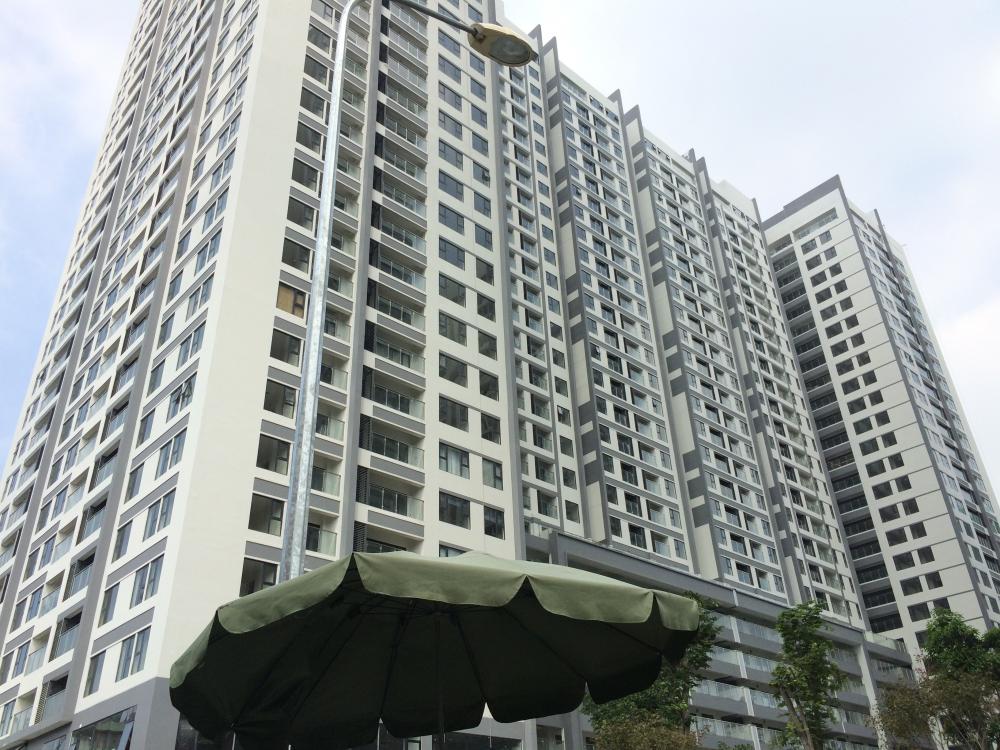 Dự án đã hoàn thiện