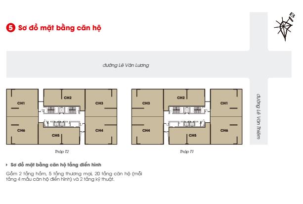 Tầng điển hình