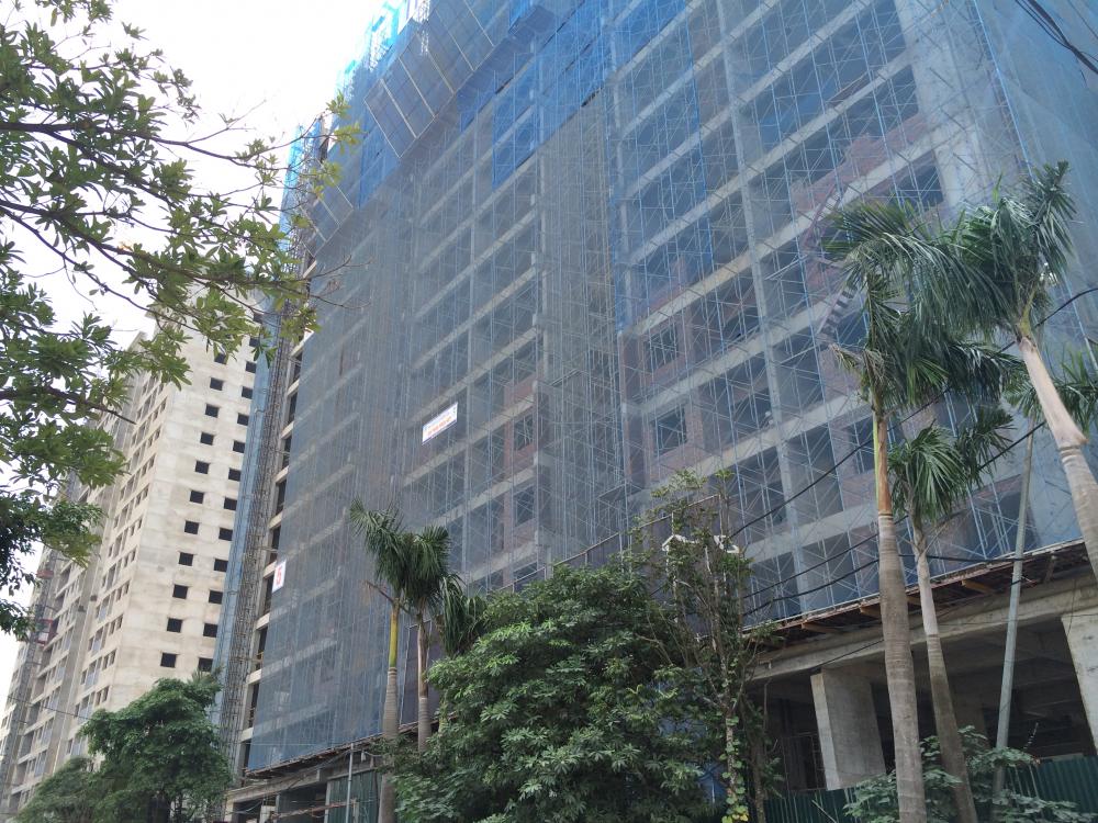 Hai tòa mặt đường Phú Lãm đã cất nóc, các tòa còn lại đang hoàn thiện các tầng cuối cùng