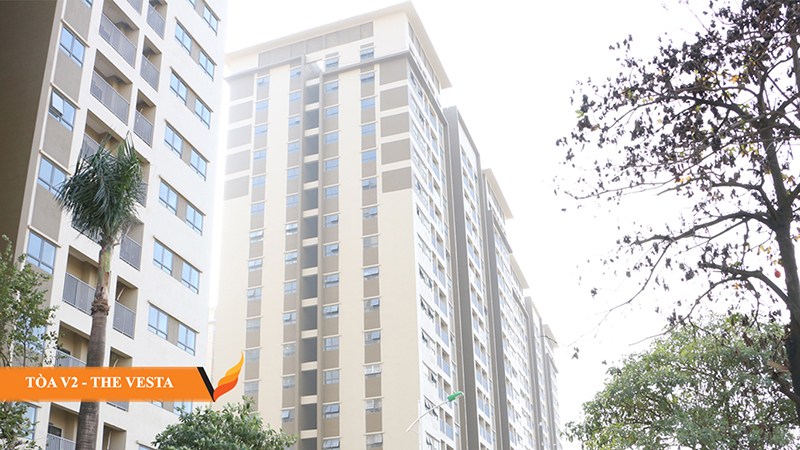 Dự án đang trong quá trình hoàn thiện