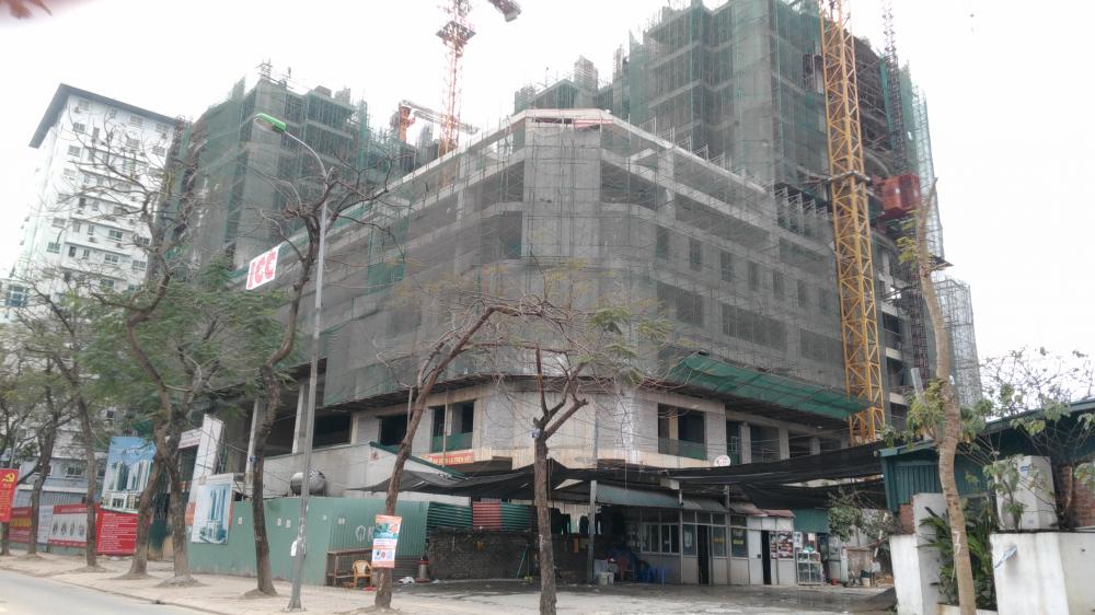 Dự án đang thi công tầng 13