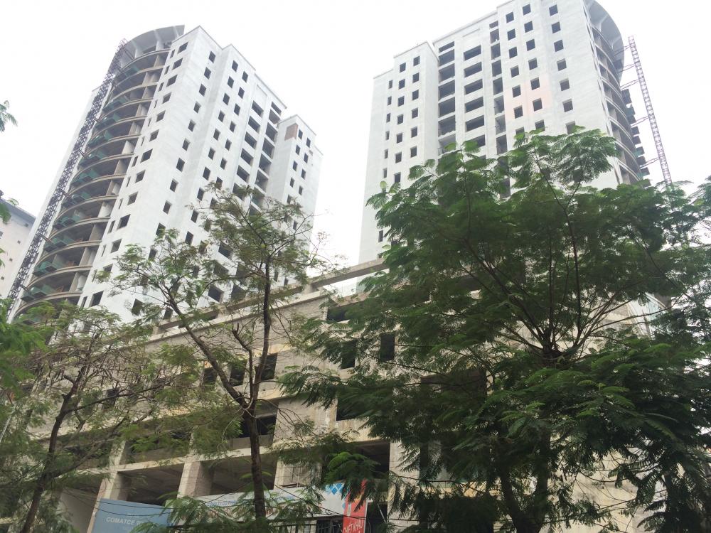 Dự án đang tiếp tục sơn mặt ngoài