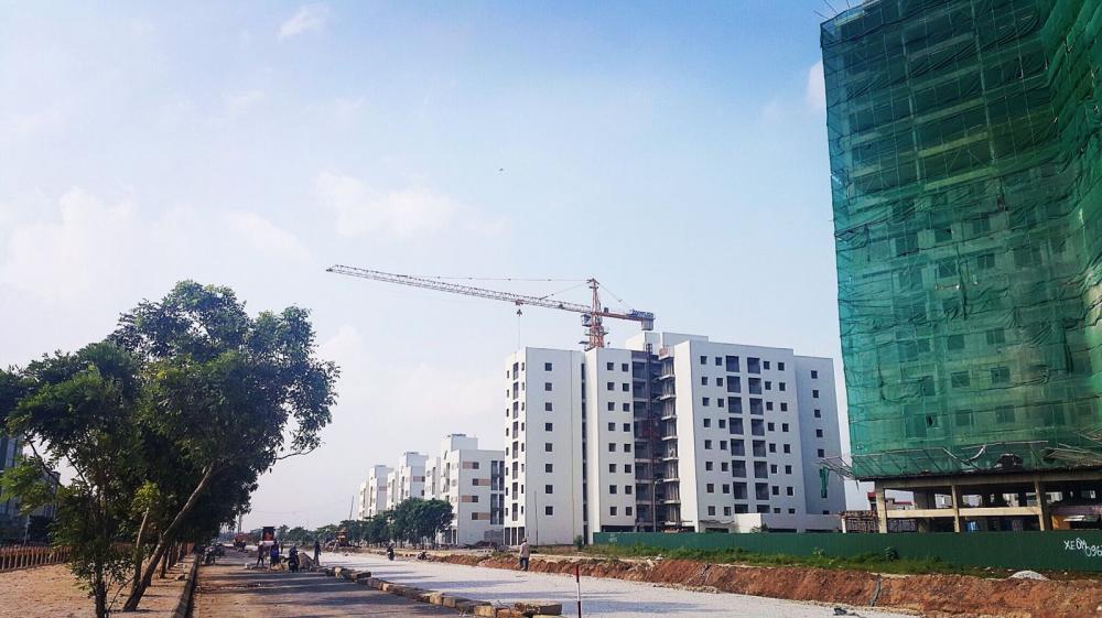 Dự án đang hoàn thiện nốt mặt ngoài