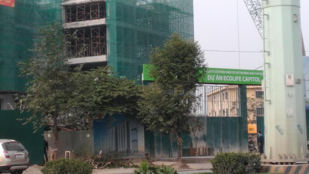 Dự án đang thi công mặt sàn tầng 5