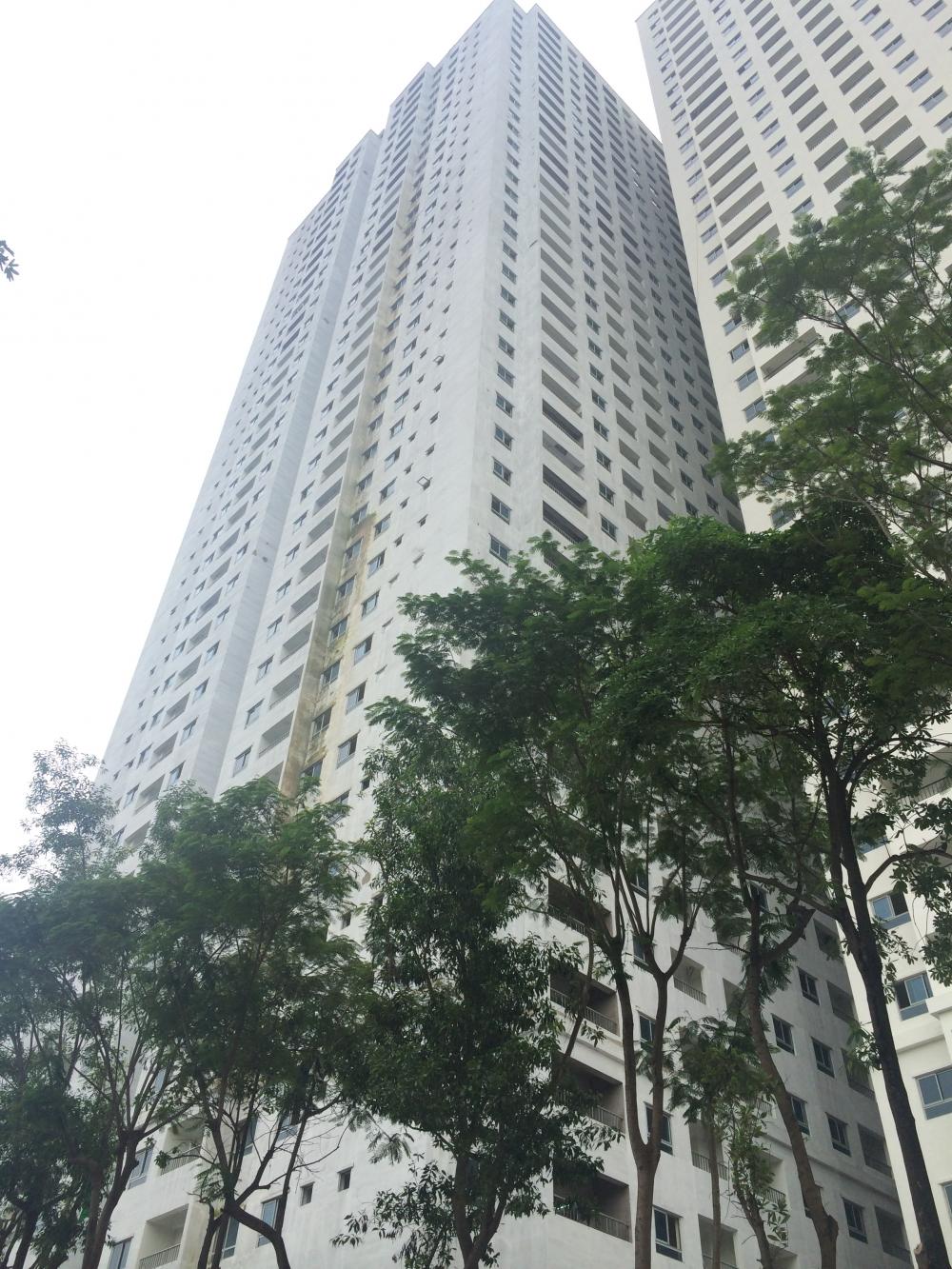 Dự án đang sơn hoàn thiện mặt ngoài