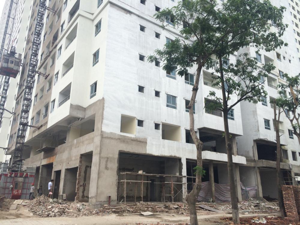 Dự án đang sơn hoàn thiện mặt ngoài