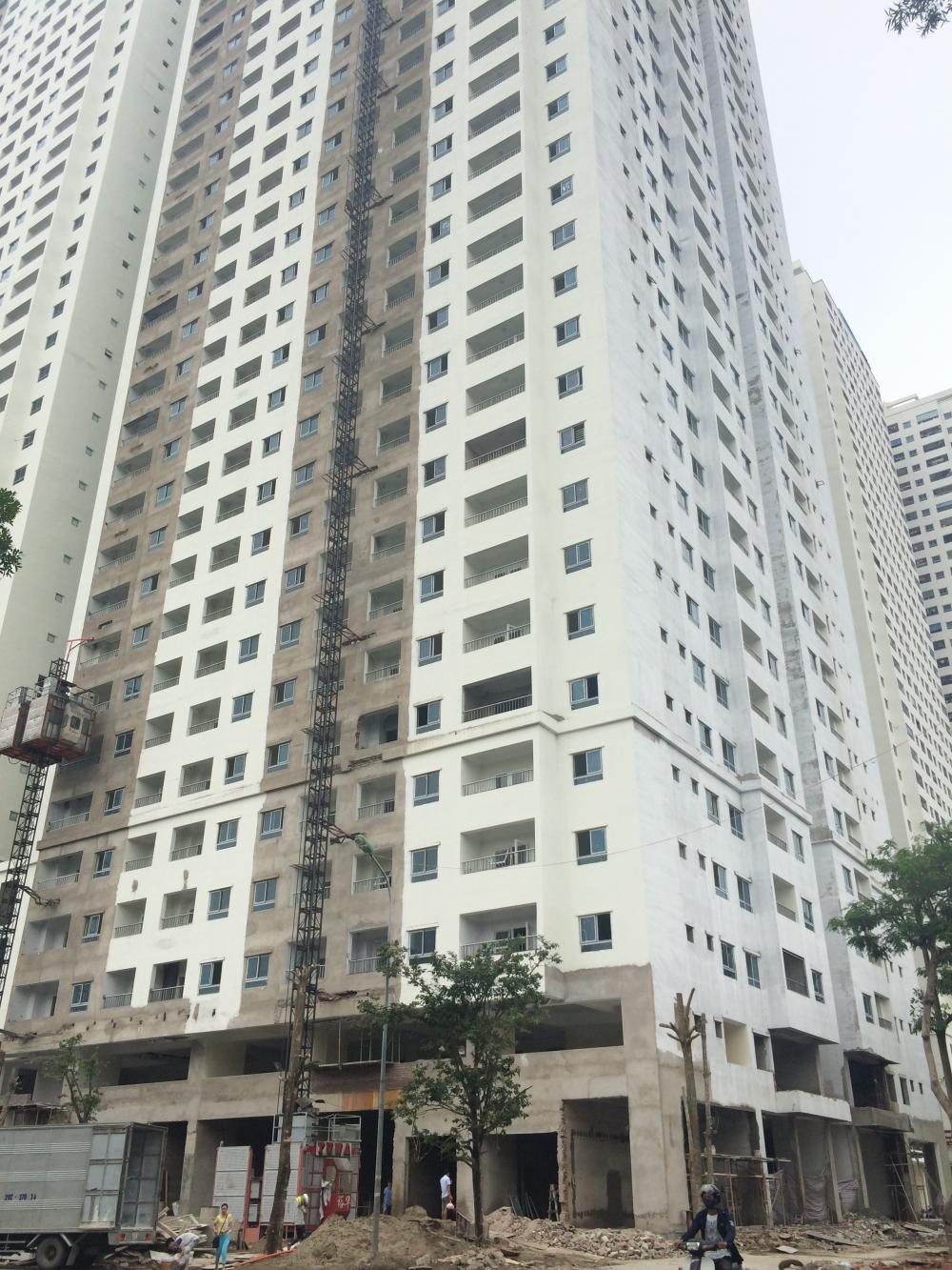 Dự án đang sơn hoàn thiện mặt ngoài