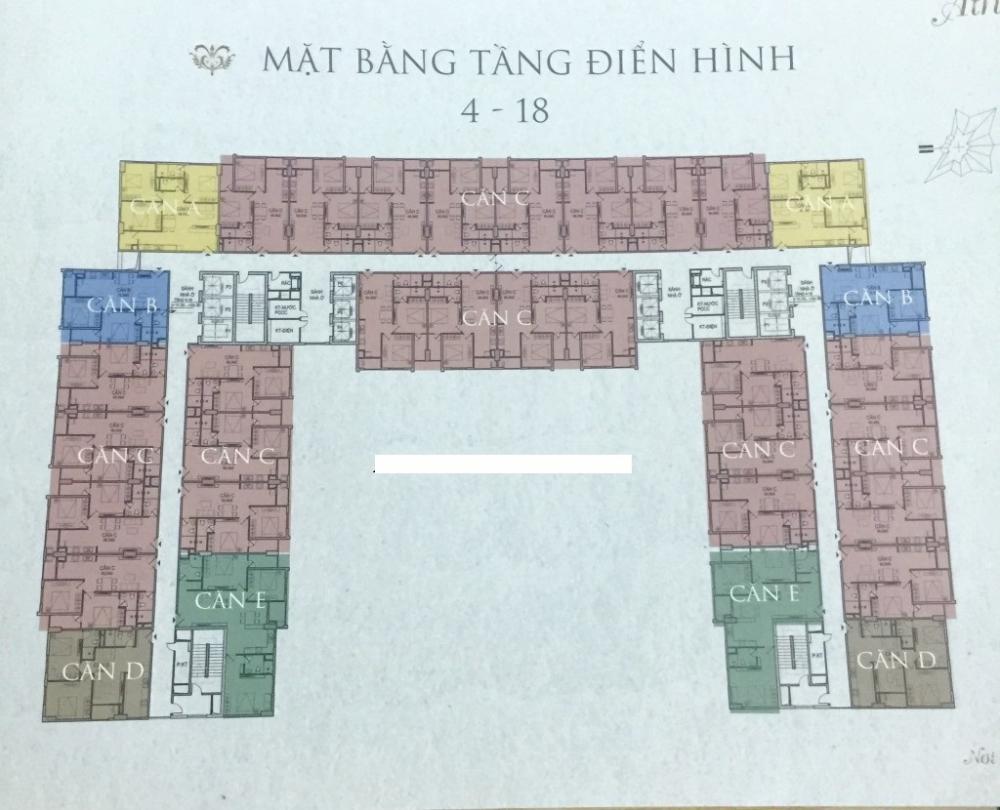 Tầng điển hình