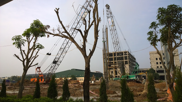 Dự án đang xây dựng phần hầm, móng và tiến hành đổ trụ cột