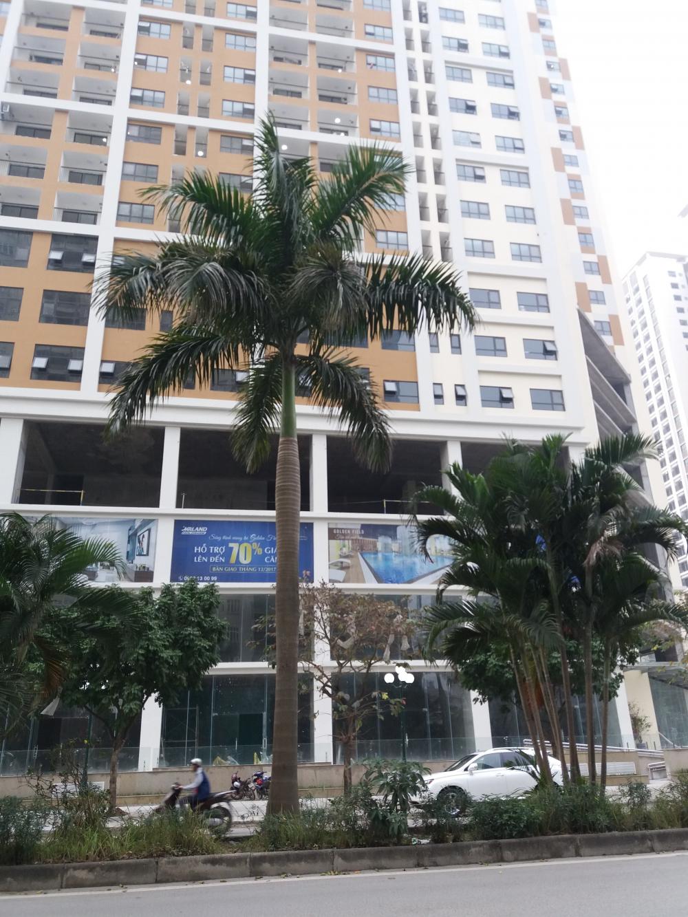 Dự án đã hoàn thiện và có người ở