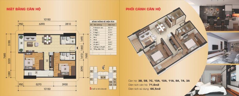 Thiết kế căn hộ 3B, 5B, 7C, 10A, 11A, 9A, 7A, 3A, 3C