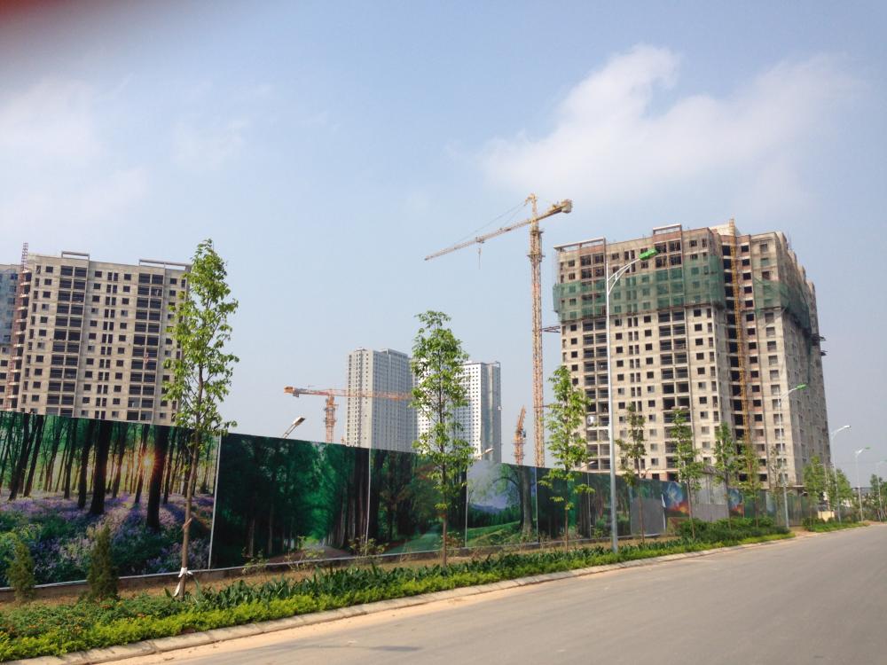 Dự án đang xây dựng phần thô