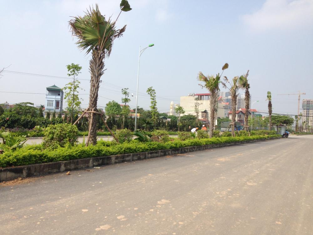 Dự án đang xây dựng phần thô