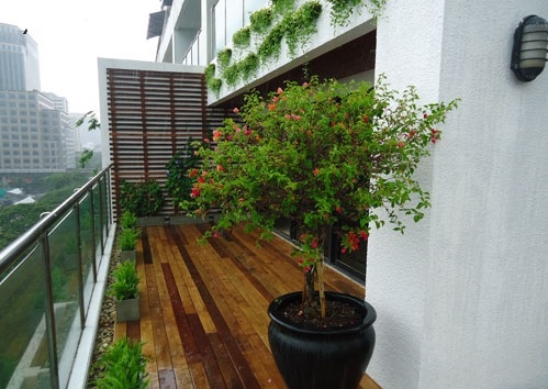 Căn hộ Tabudec Plaza 6