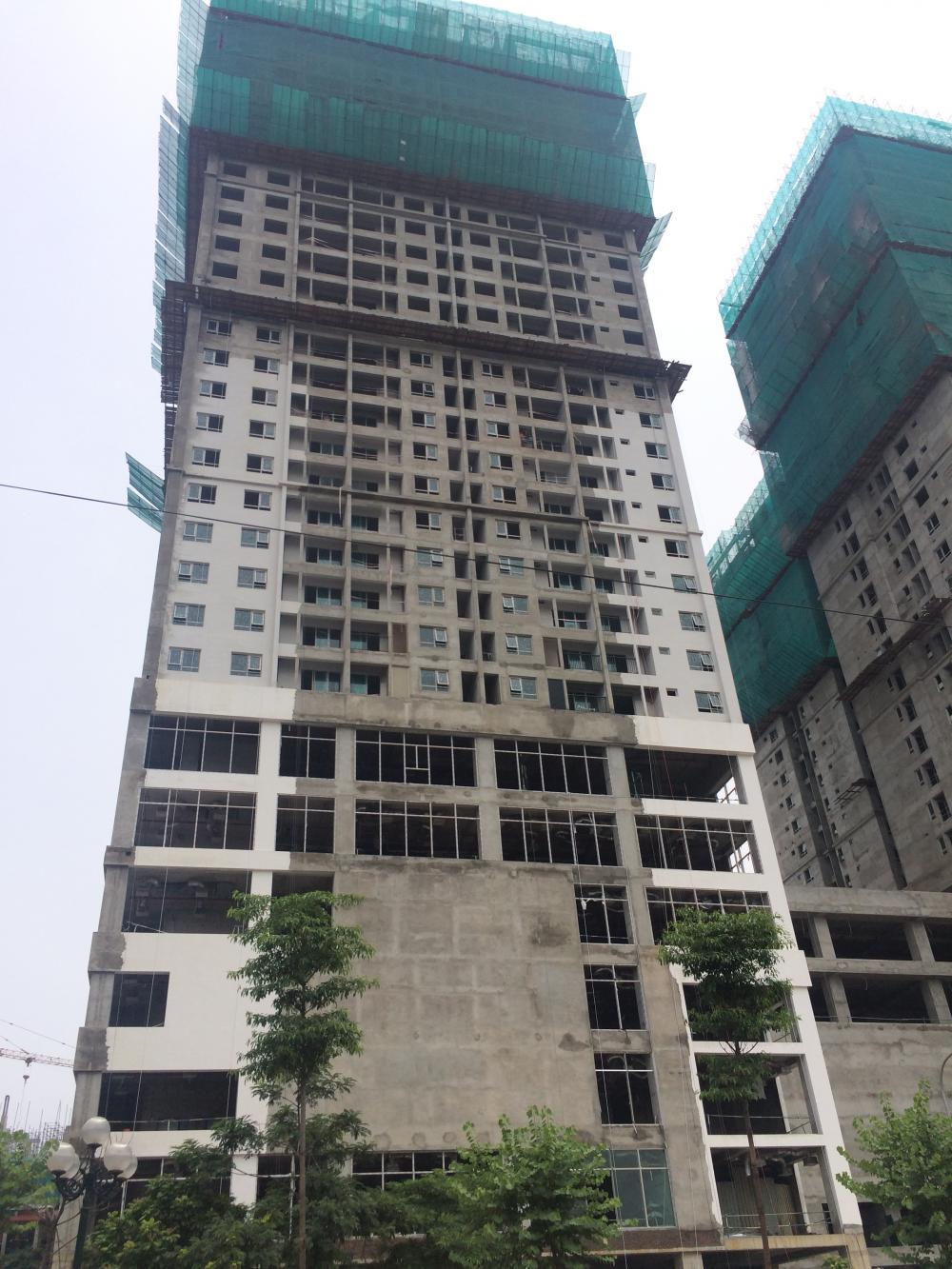 Dự án đã cất nóc