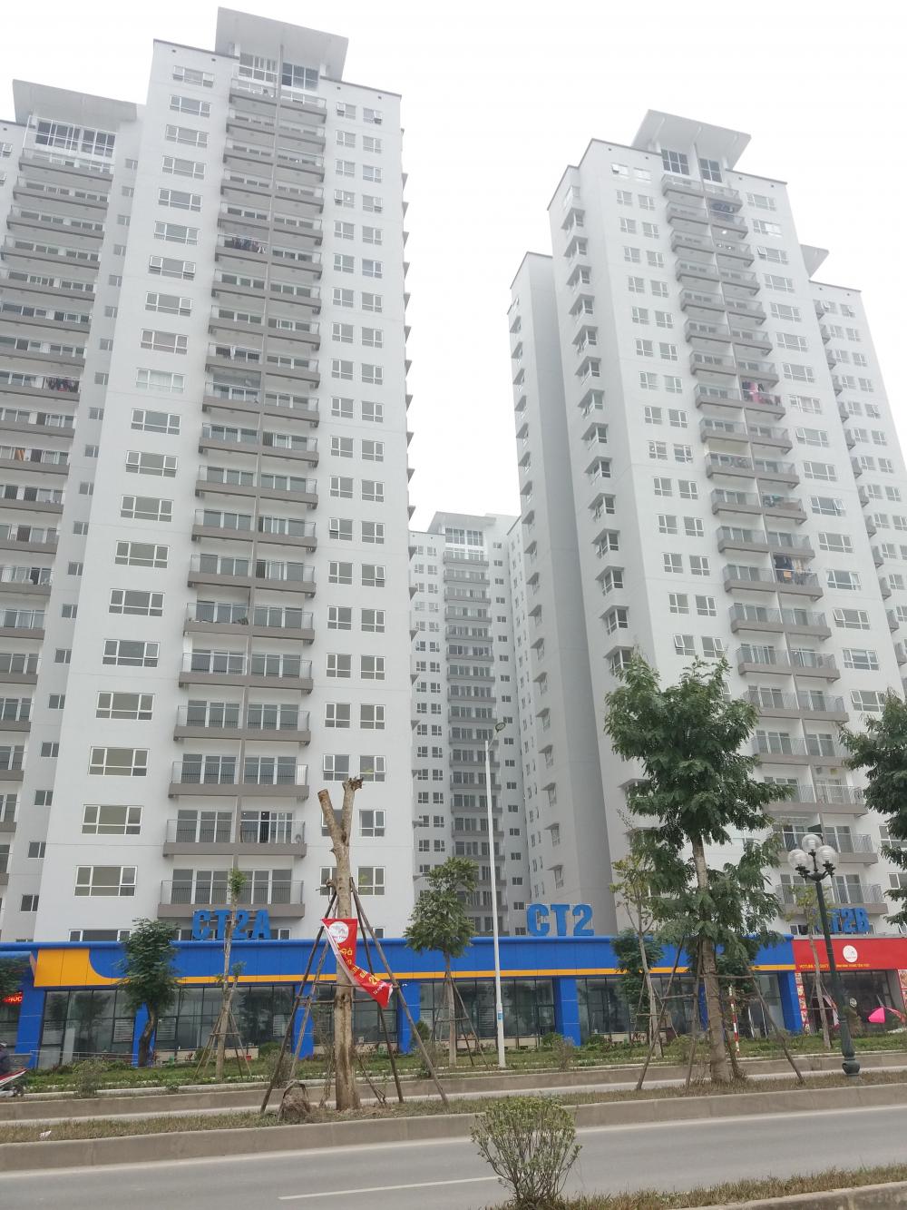 Dự án đã hoàn thiện