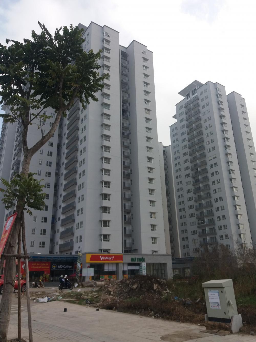 Dự án đã hoàn thiện