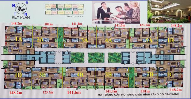 Tầng điển hình