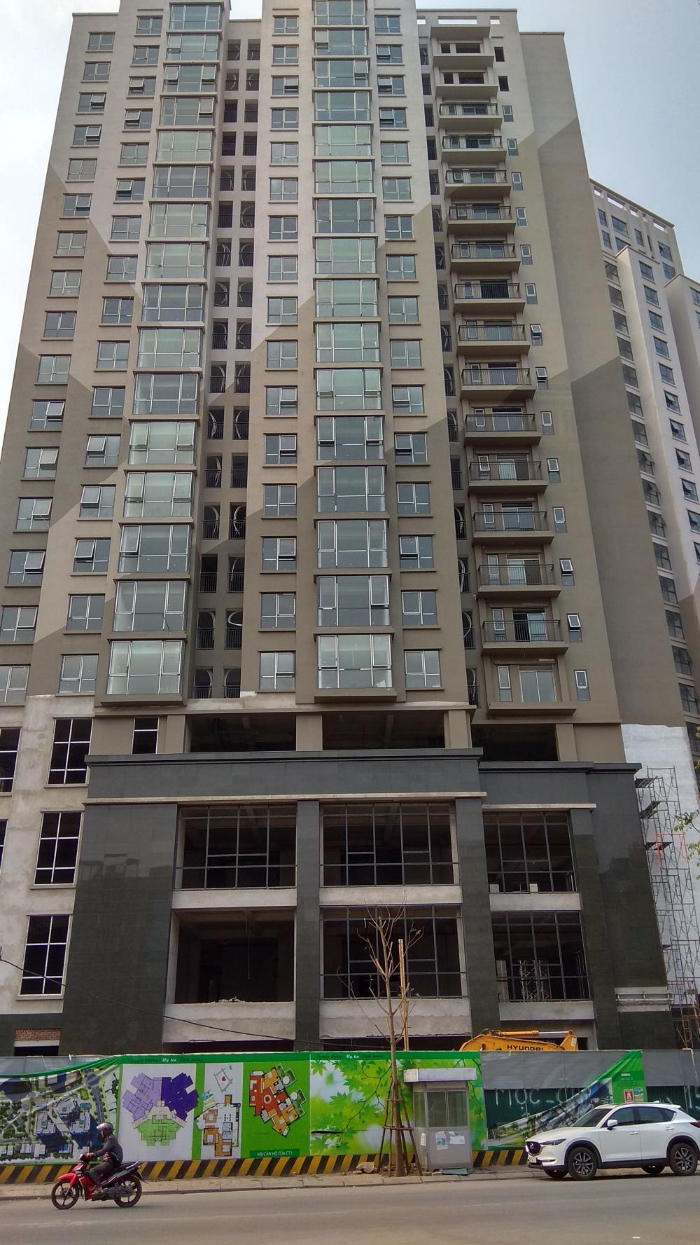 Dự án vẫn đang tiếp tục sơn