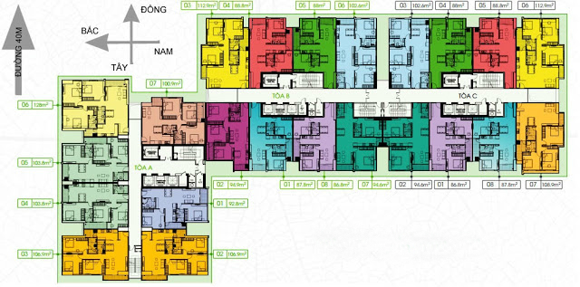 Tầng điển hình