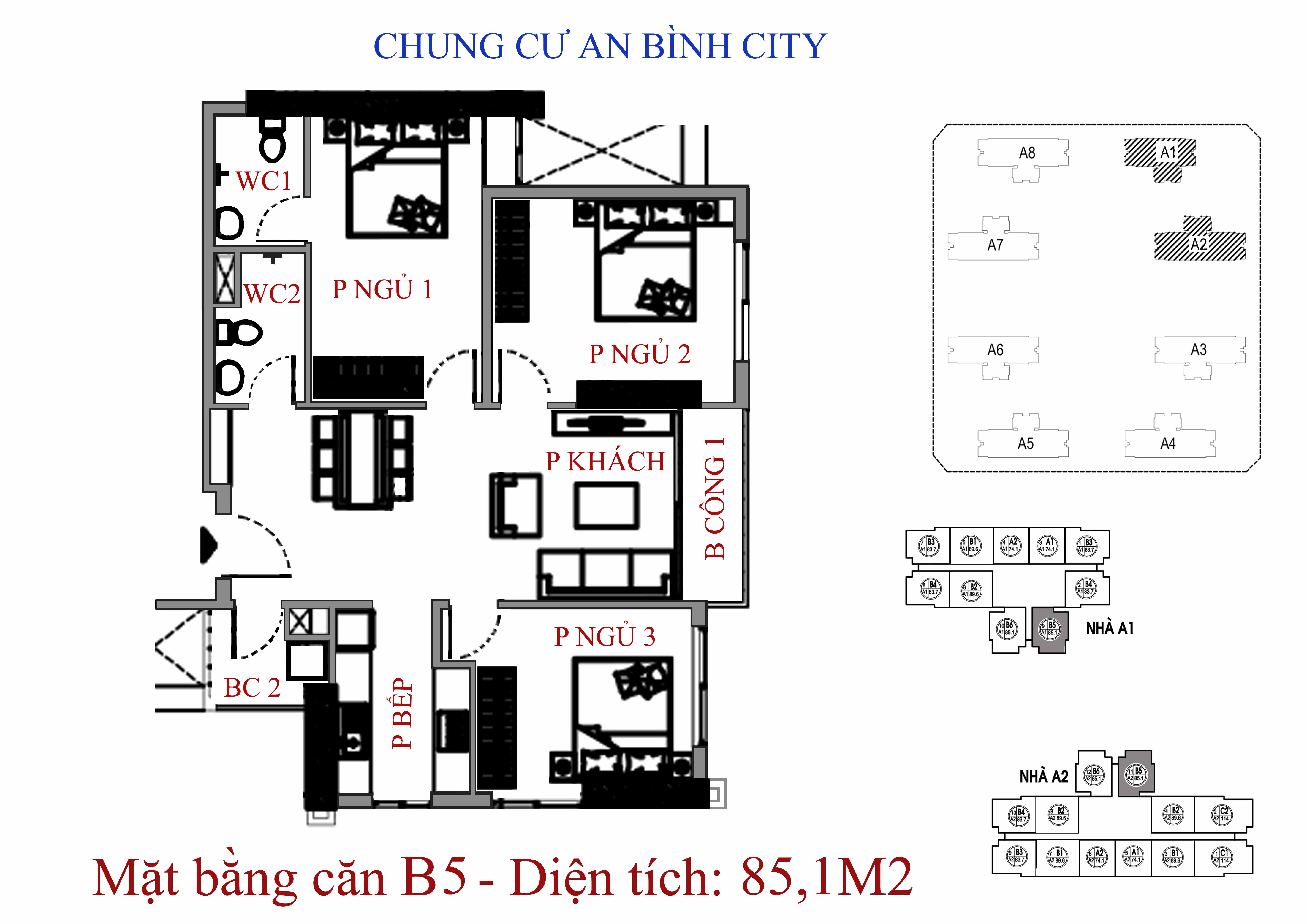 Thiết kế căn hộ B5