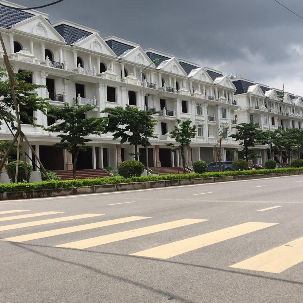 Dự án đang trong quá trình hoàn thiện