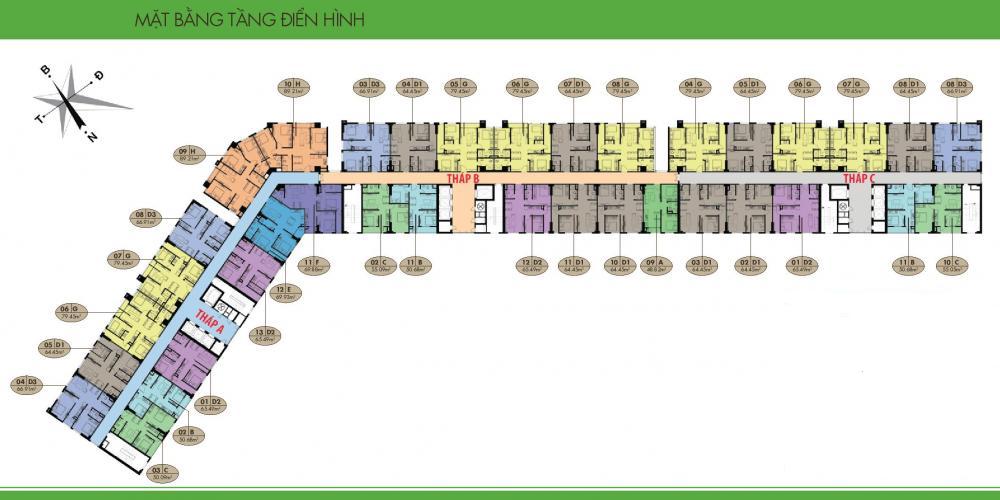 Tầng điển hình