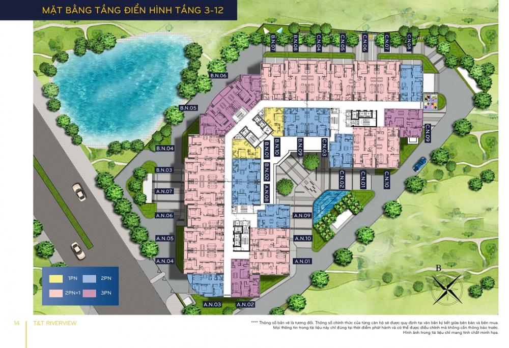 Tầng điển hình