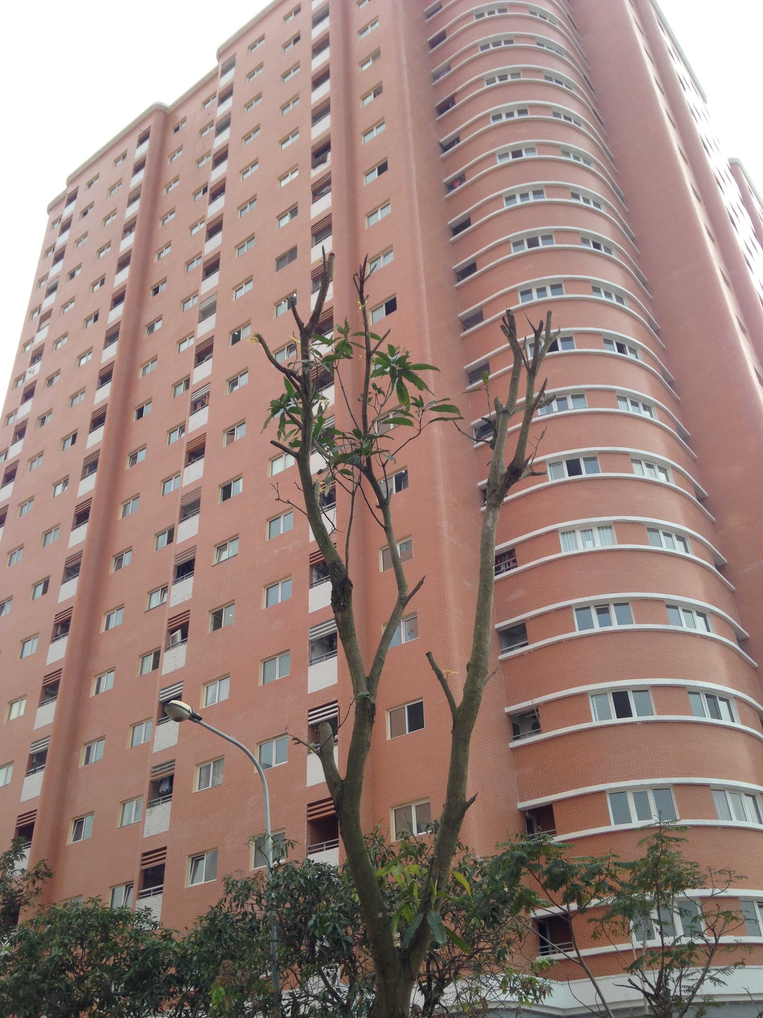 Dự án đã hoàn thiện và bàn giao nhà