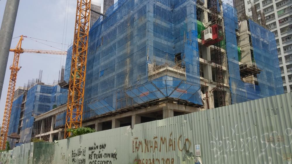 Tòa 31T1 và 30T2 đang thi công tới mặt sàn tầng 8