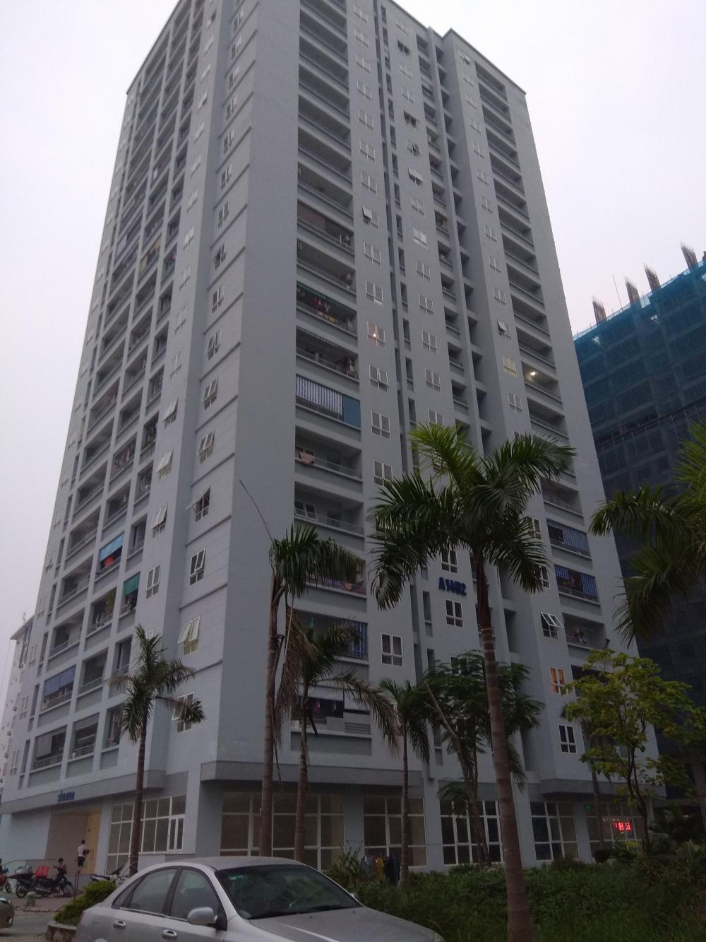 2 tòa A14 A1 và A14 A2 đã đưa vào sử dụng