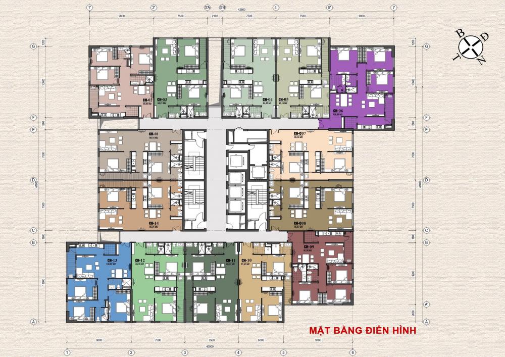 Tầng điển hình