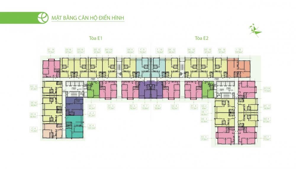 Tầng điển hình